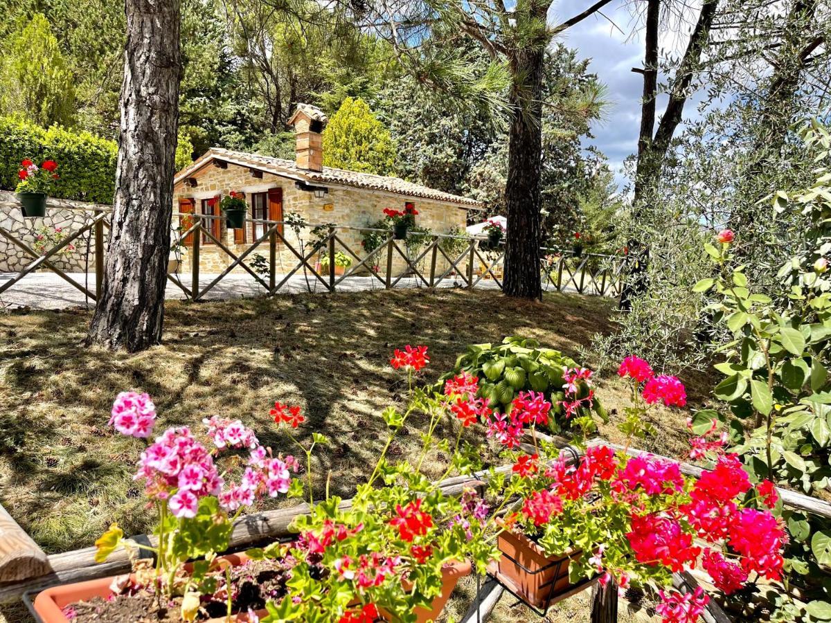 La Panoramica Gubbio - Maison De Charme - Casette E Appartamenti Self Catering Per Vacanze Meravigliose! Екстер'єр фото