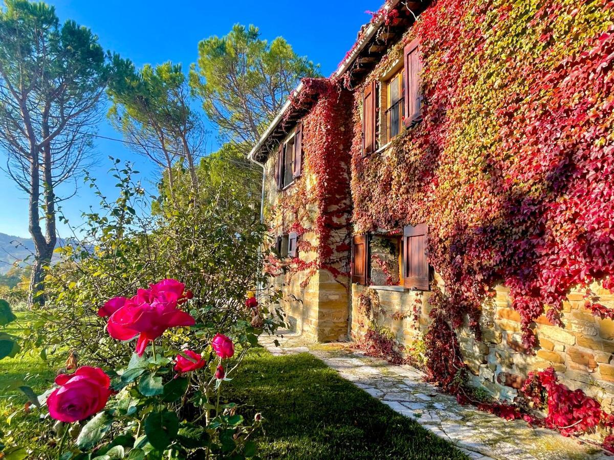 La Panoramica Gubbio - Maison De Charme - Casette E Appartamenti Self Catering Per Vacanze Meravigliose! Екстер'єр фото