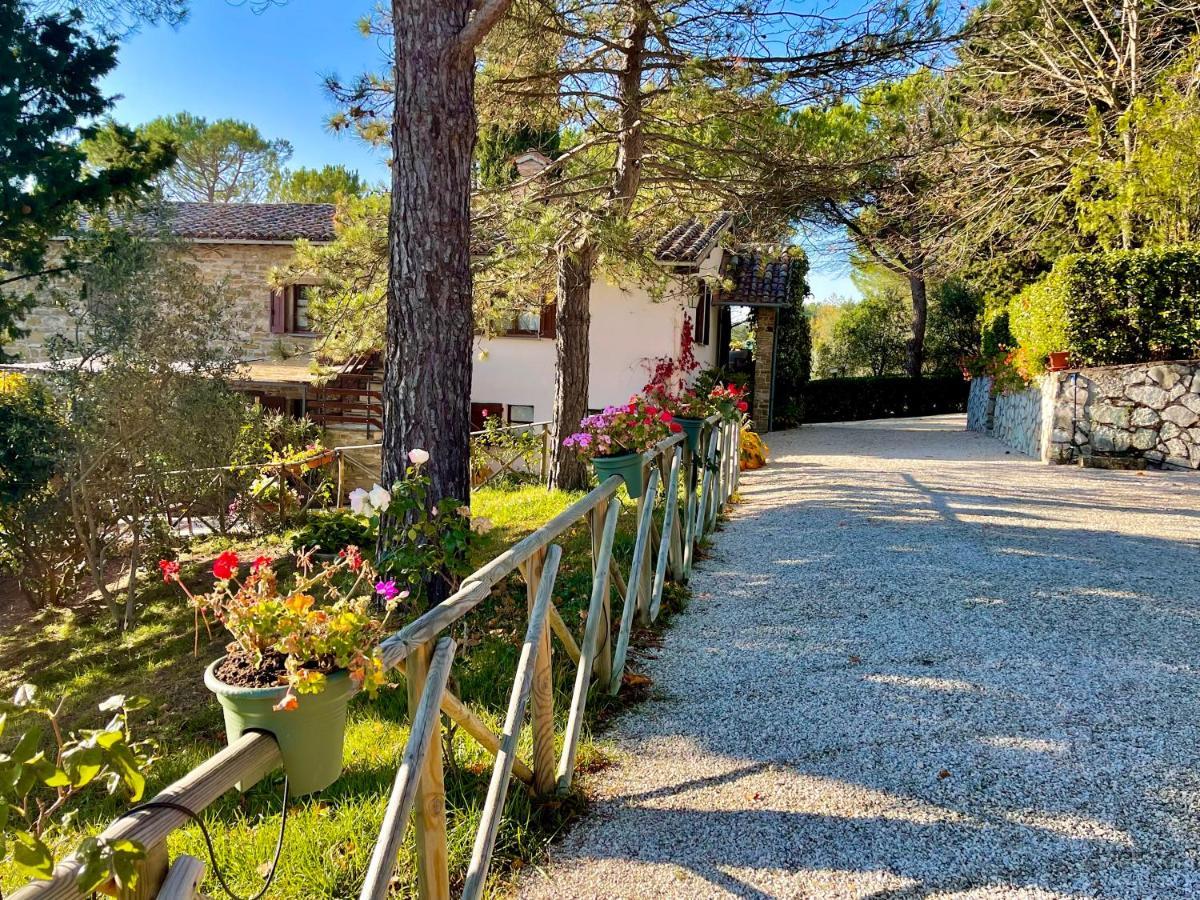 La Panoramica Gubbio - Maison De Charme - Casette E Appartamenti Self Catering Per Vacanze Meravigliose! Екстер'єр фото