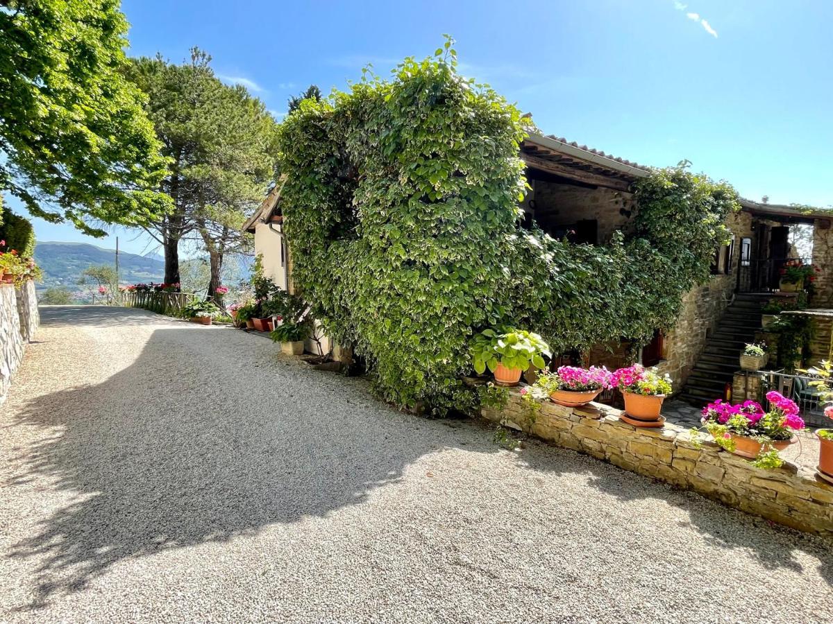 La Panoramica Gubbio - Maison De Charme - Casette E Appartamenti Self Catering Per Vacanze Meravigliose! Екстер'єр фото