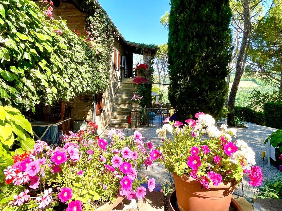 La Panoramica Gubbio - Maison De Charme - Casette E Appartamenti Self Catering Per Vacanze Meravigliose! Екстер'єр фото